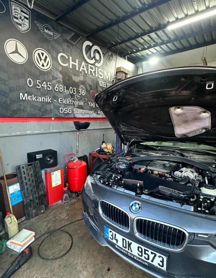 WhatsApp Image 2025-12-22 453453